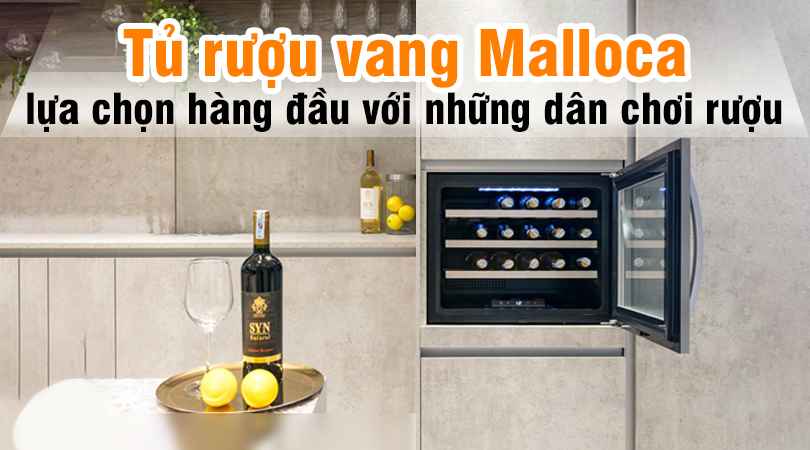 Tủ rượu vang Malloca - Sự lựa chọn tuyệt vời